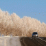 Фото © ГУ МВД по Кузбассу - МедиаКузбасс