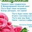 Поздравление с Международным женским днем! - ВОСВОД