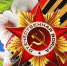 Реконструкция военных событий, кинотеатр под открытым небом, интерактивные площадки и мастер-классы, концерты – Кемерово встретит День Победы десятками праздничных программ - Администрация города