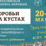 Всероссийская перепись воробьев «Воробьи на кустах» проходит с 20 по 26 марта 2023 г. - Газета Эковек