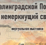 Смотрите виртуальную выставку   «Сталинградской Победы немеркнущий свет» на сайте библиотеки - Научная библиотека им. В.Д. Федорова
