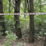В кузбасском селе Шабаново сняли карантин по бешенству - Газета Комсомольская правда