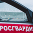 Росгвардейцы задержали похитителя сыра из двух торговых точек - ИА Новости Кузбасса