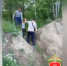 В Кузбассе нашли пропавшего в лесу 5-летнего мальчика - Газета Комсомольская правда