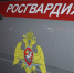 Росгвардейцы задержали злоумышленника, причинившего травмы своей сожительнице - Росгвардия