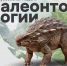 В Кемеровской области стартует Всекузбасская неделя палеонтологии - Газета Кузбасс