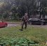 Коммунальные службы наводят порядок во дворах кемеровчан - Администрация города