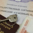 В 2025 году более уже 5 500 кузбасских семей улучшили жилье с помощью маткапитала - Газета Комсомольская правда