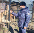 Юргинские росгвардейцы передали помощь в приют для животных - Росгвардия