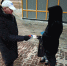 img - ЛДПР