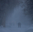 06.01.2026 18:45:07 - Администрация города