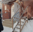 В учреждениях ГУФСИН России по Кемеровской области-Кузбассу состоялись традиционные крещенские купания - ГУФСИН по Кемеровской области