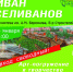 Арт-погружение: Иван Селиванов - Информационно-библиотечная система