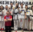 Межрегиональные соревнования по тхэквондо «Сила Сибири» - Министерство физкультуры и спорта
