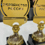 Первенство России по вольной борьбе среди девушек до 16 лет, г. Иваново - Министерство физкультуры и спорта