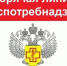 Подведены итоги «горячей линии» (09.03.2026 по 20.03.2026), приуроченной ко Всемирному дню прав потребителей - Роспотребнадзор