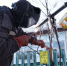 В Кемерове на Южном и в районе Ягуновский газ появится уже в этом году - Газета Кузбасс