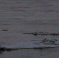 Прогноз погоды на территории Кузбасса - Кемеровская областная организация ВОСВОД