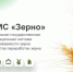 В Кузбассе Россельхознадзор с помощью ФГИС «Зерно» выявил нарушения при оформлении документов на семена подсолнечника и рапса - ИА Новости Кузбасса