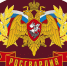 В Чебаркуле почтили память боевого товарища, погибшего при спасении утопающих - Кемеровская областная организация ВОСВОД