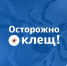 Рекомендации от МЧС России: как уберечься      от клещей - МЧС России